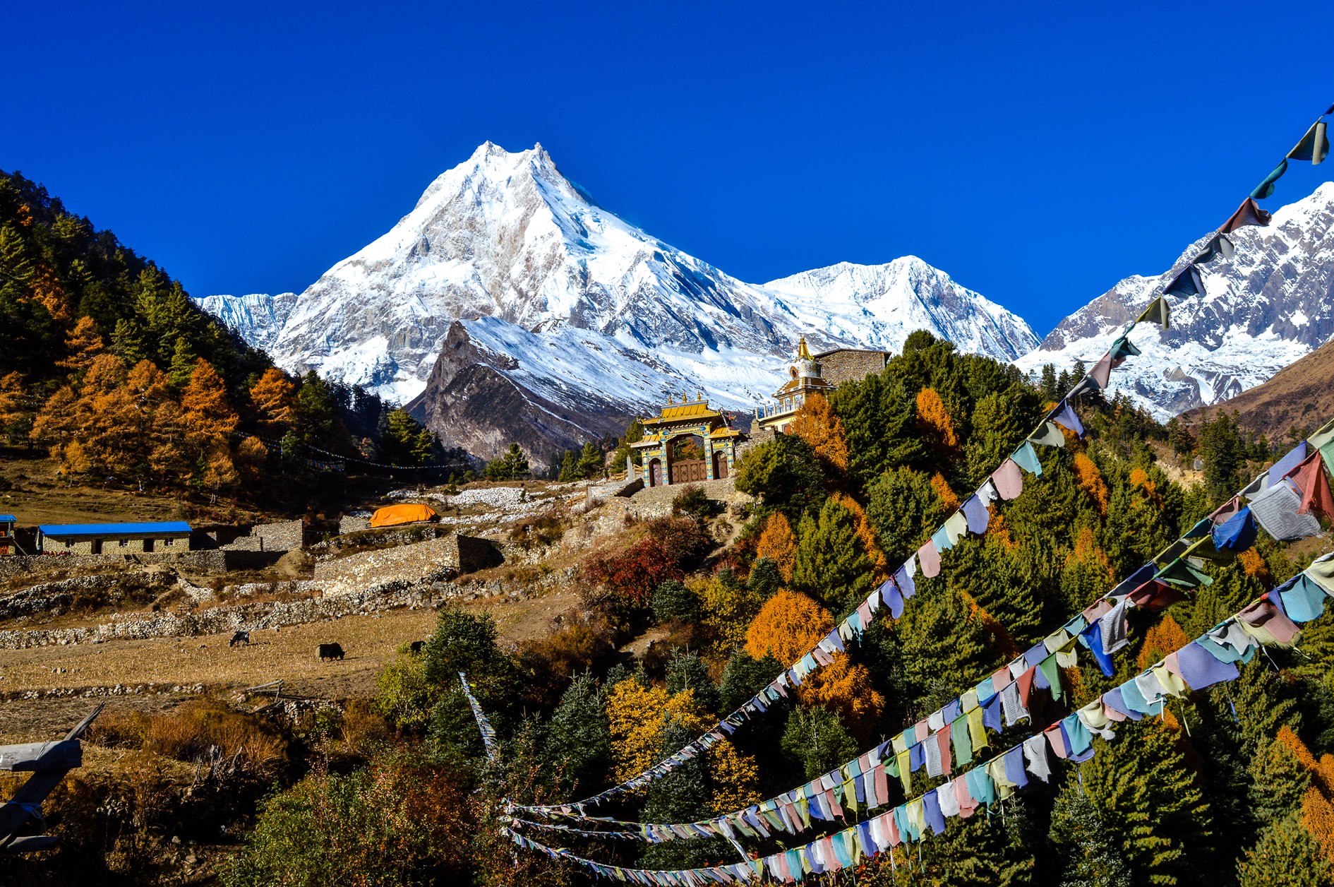 Prayer flags above a Himalayan valley