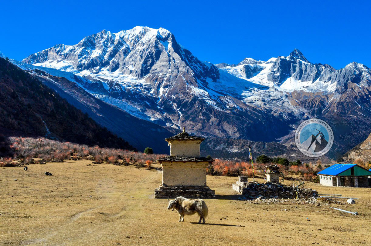 Manaslu Round Trek
